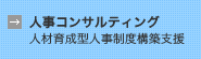 人事コンサルティング（人材育成型人事制度構築支援）