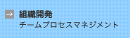 組織開発（チームプロセスマネジメント）